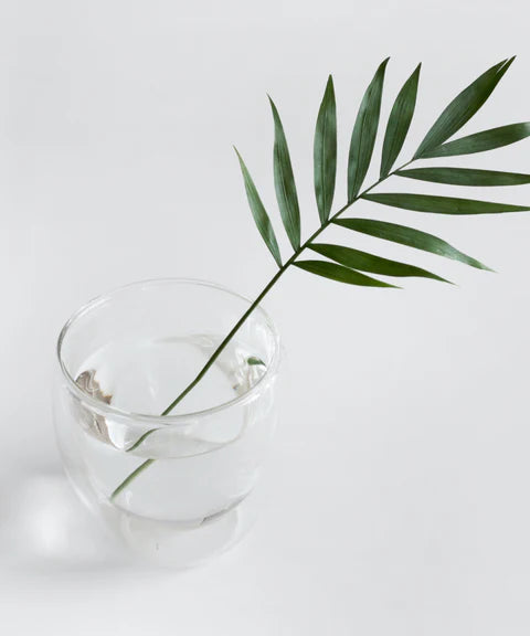 Dermatologicamente Aprovado