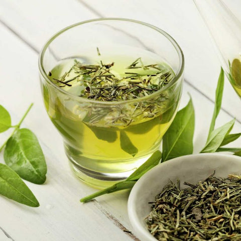 Extrato de Chá Verde