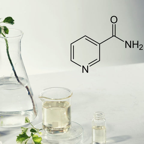 Niacinamida (Vitamina B3)