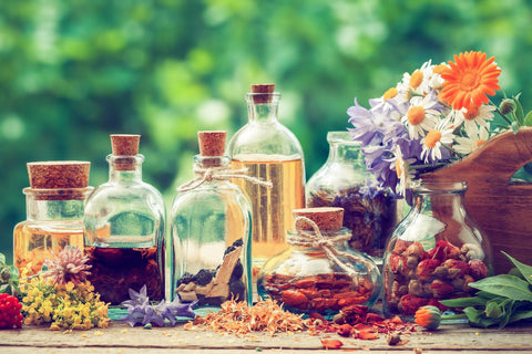 Resveratrol
