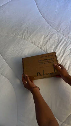 chegou